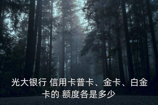 光大時(shí)尚信用卡額度多少,光大信用卡額度一般都是多少