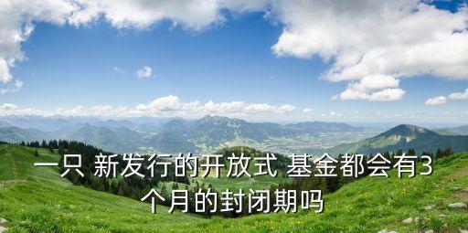新發(fā)基金多少天,2022年新發(fā)基金一覽