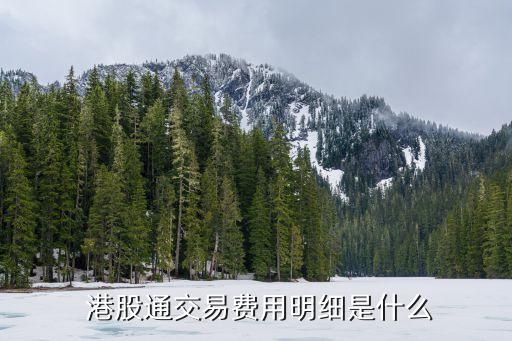 港股手續(xù)費(fèi)最低多少錢,港股最低可以跌到多少錢