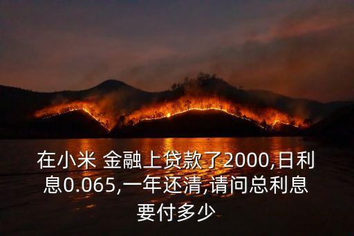 有米金融可貸多少錢