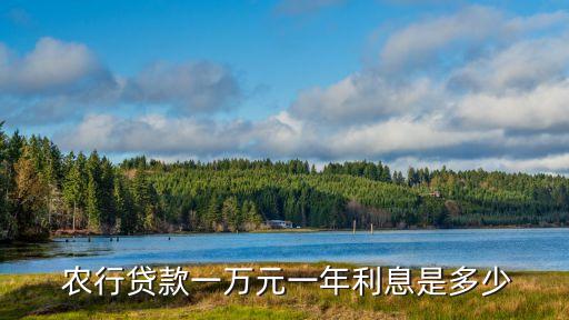 農(nóng)行借貸利率多少,360借條利率多少