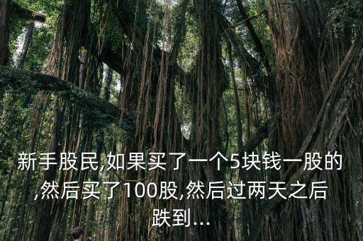 新手股民,如果買了一個(gè)5塊錢一股的,然后買了100股,然后過兩天之后跌到...