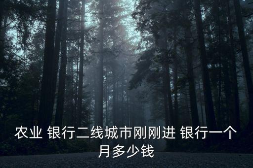 農(nóng)業(yè) 銀行二線城市剛剛進(jìn) 銀行一個(gè)月多少錢