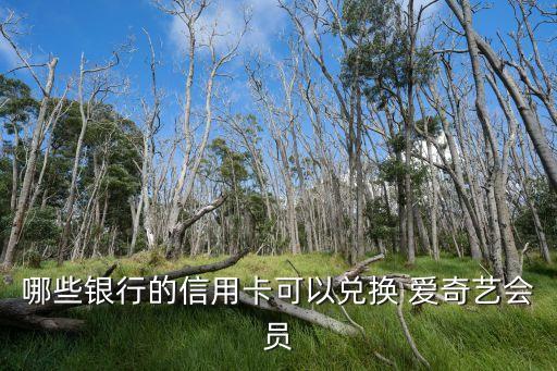 哪些銀行的信用卡可以兌換 愛奇藝會(huì)員