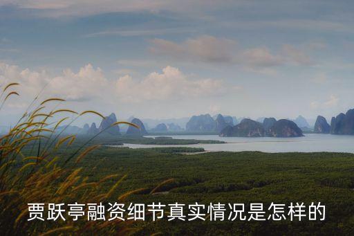 樂視金融值多少錢,樂視2二手能值多少錢