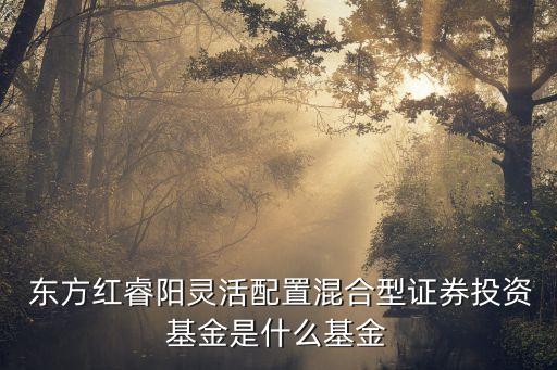  東方紅睿陽靈活配置混合型證券投資基金是什么基金