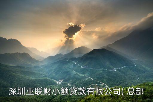 深圳亞聯(lián)財(cái)小額貸款有限公司( 總部