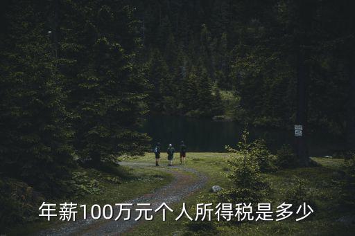 年薪100萬元個人所得稅是多少