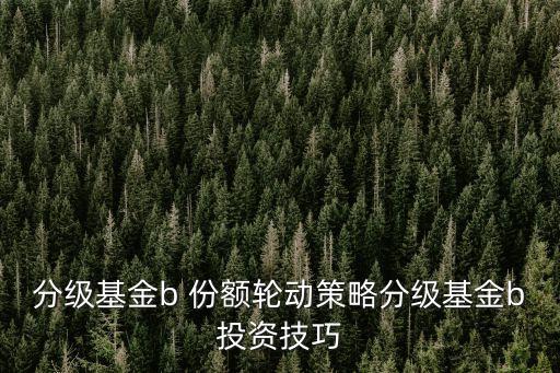 分級(jí)基金b 份額輪動(dòng)策略分級(jí)基金b投資技巧