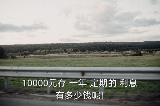 農(nóng)業(yè)銀行存一萬(wàn)定期一年利息多少錢(qián),一萬(wàn)元最聰明的存錢(qián)法