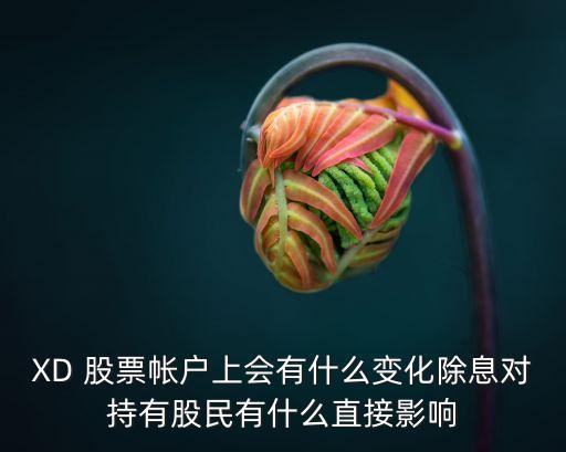 xd股票能分多少紅利