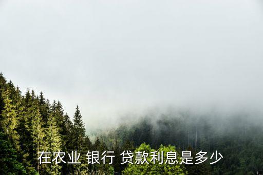 在農(nóng)業(yè) 銀行 貸款利息是多少