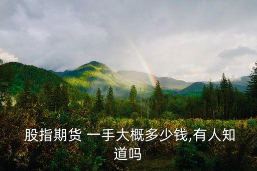 股指一手多少錢,股票買入多久可以賣出