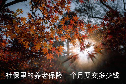 養(yǎng)老金每個月多少錢,農(nóng)村六十周歲養(yǎng)老金每個月多少錢