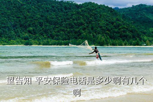 望告知 平安保險電話是多少啊有幾個啊