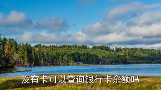 沒有卡可以查詢銀行卡余額嗎