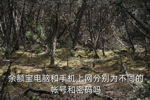  余額寶電腦和手機上網(wǎng)分別為不同的 帳號和密碼嗎