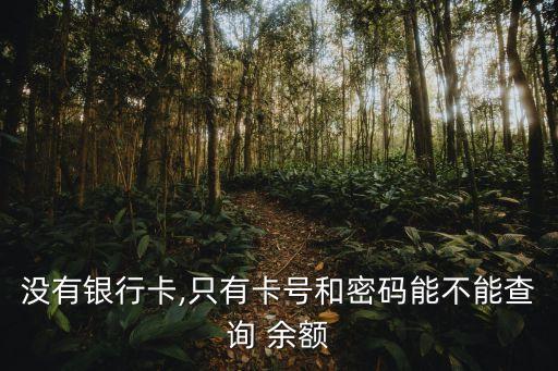 沒有銀行卡,只有卡號和密碼能不能查詢 余額