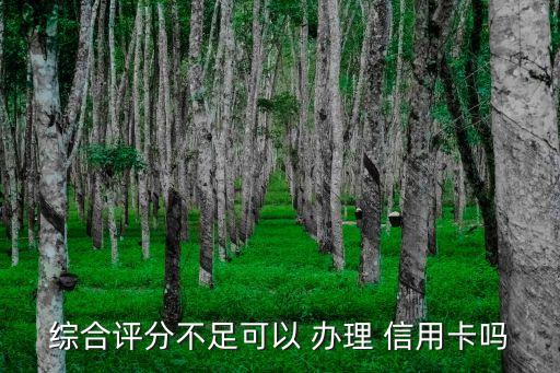 綜合評(píng)分不足可以 辦理 信用卡嗎