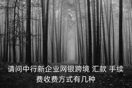 請(qǐng)問(wèn)中行新企業(yè)網(wǎng)銀跨境 匯款 手續(xù)費(fèi)收費(fèi)方式有幾種