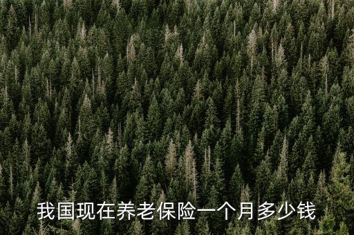養(yǎng)老金多少錢一月,東莞市養(yǎng)老保險(xiǎn)養(yǎng)老金多少錢一月