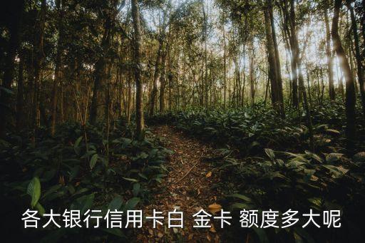 浦發(fā)臻尚白金卡額度多少,浦發(fā)夢卡經(jīng)典白金卡3000額度