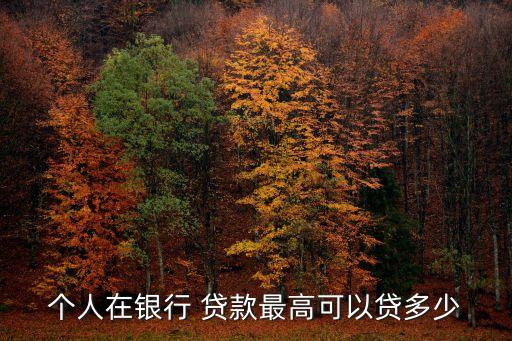 個人在銀行 貸款最高可以貸多少