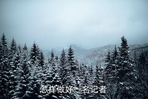 怎樣做好一名記者