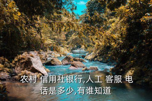 農(nóng)村信用社的客服電話是多少,河北省農(nóng)村信用社的客服電話是多少