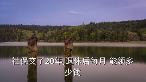 能領(lǐng)多少養(yǎng)老金 計算器,上海養(yǎng)老金模擬計算器2022