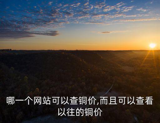 查詢有色金屬網(wǎng)歷史多少錢一年
