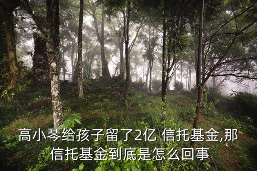 高小琴給孩子留了2億 信托基金,那 信托基金到底是怎么回事