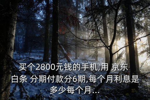 買個(gè)2800元錢的手機(jī),用 京東 白條 分期付款分6期,每個(gè)月利息是多少每個(gè)月...