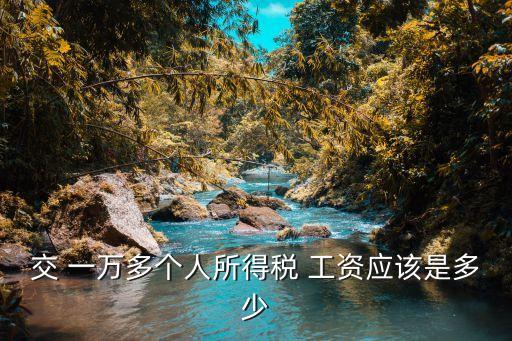 交 一萬(wàn)多個(gè)人所得稅 工資應(yīng)該是多少