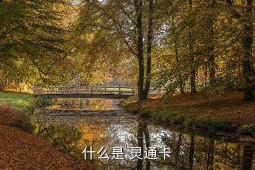 什么是 靈通卡