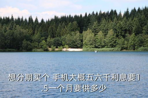 想分期買個(gè) 手機(jī)大概五六千利息要1.5一個(gè)月要供多少
