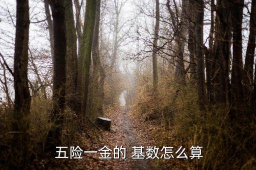  五險一金的 基數(shù)怎么算