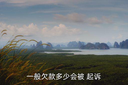 欠多少錢會(huì)被起訴,網(wǎng)貸一般欠多少錢會(huì)被起訴