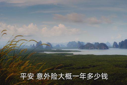 平安意外保險(xiǎn)保費(fèi)多少,意外保險(xiǎn)保費(fèi)多少錢