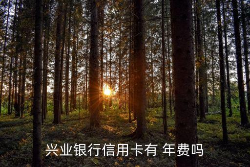 興業(yè)銀行信用卡有 年費(fèi)嗎