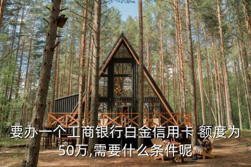 要辦一個(gè)工商銀行白金信用卡 額度為50萬(wàn),需要什么條件呢