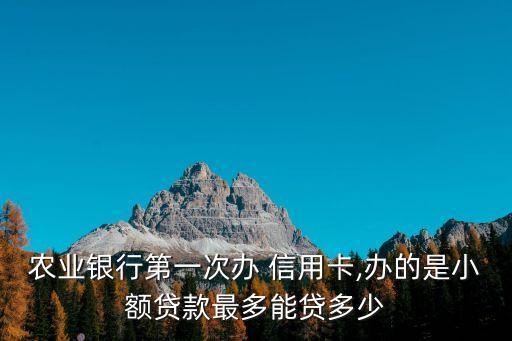 農(nóng)業(yè)銀行第一次辦 信用卡,辦的是小額貸款最多能貸多少