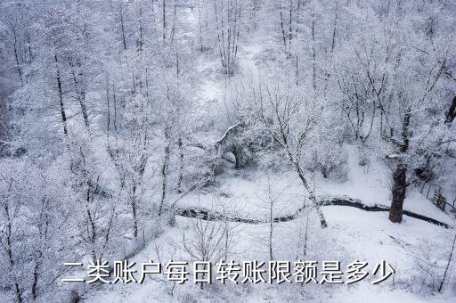 二代銀行卡額度是多少,第二張建設(shè)銀行卡額度