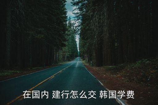 在國內(nèi) 建行怎么交 韓國學(xué)費(fèi)