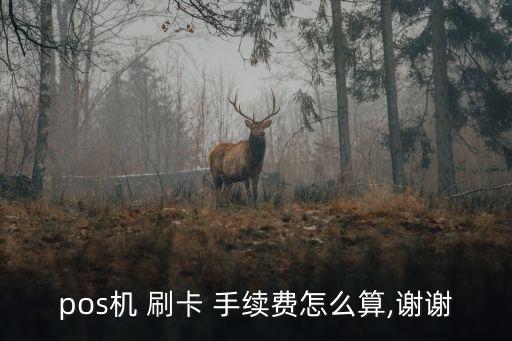 刷卡一元手續(xù)費(fèi)是多少,4000元刷卡手續(xù)費(fèi)