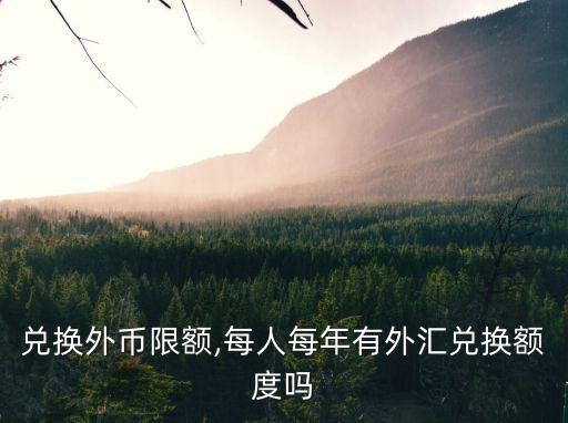 兌換外幣限額,每人每年有外匯兌換額度嗎