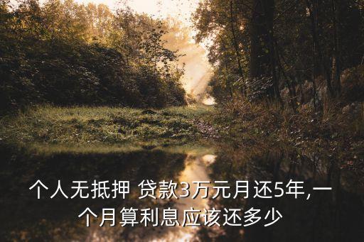 個(gè)人無(wú)抵押 貸款3萬(wàn)元月還5年,一個(gè)月算利息應(yīng)該還多少