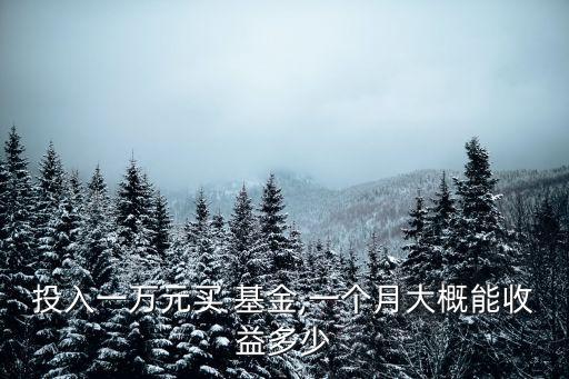 投入一萬元買 基金,一個月大概能收益多少
