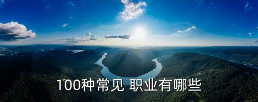 國(guó)內(nèi)有多少種職業(yè),村民一共有多少種職業(yè)