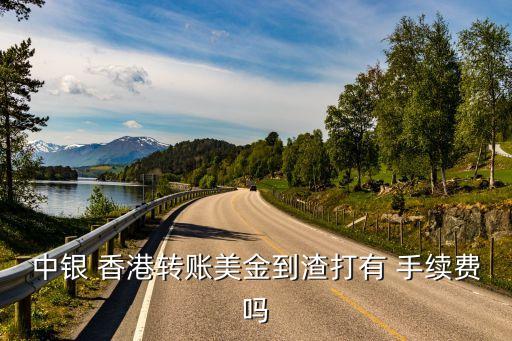 中銀 香港轉(zhuǎn)賬美金到渣打有 手續(xù)費(fèi)嗎